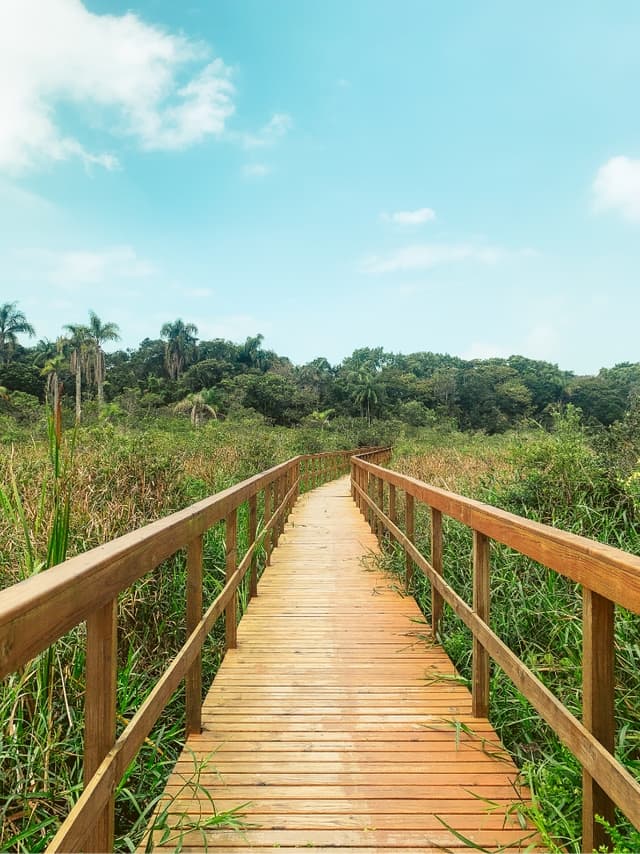 Image of beach in Florianópolis, Brazil