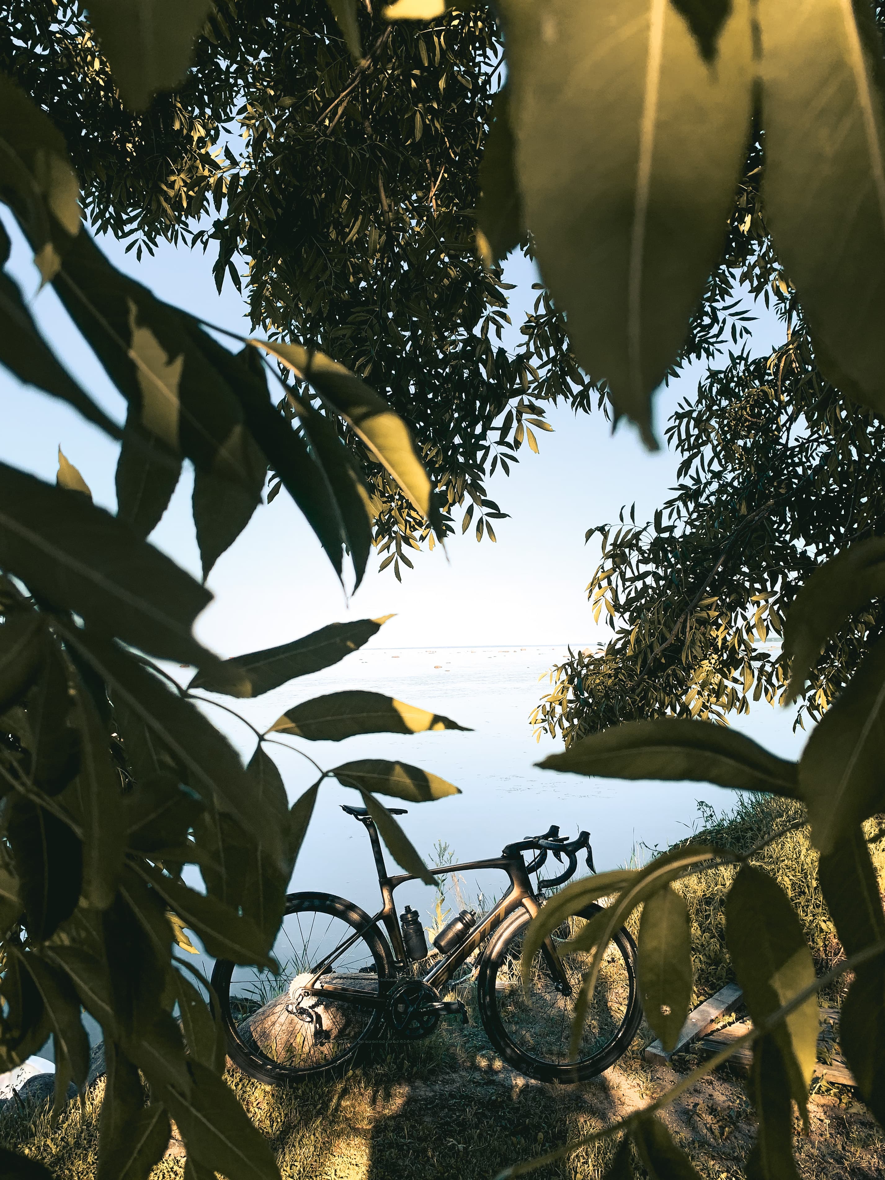 Shot of a road bicycle next to a lake with lots of leaves around it. The foreground is also dirtied with out-of-focus tree leaves.